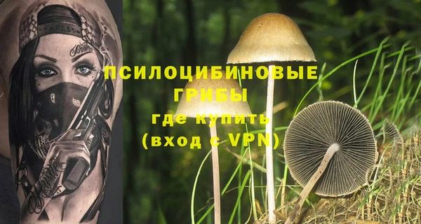 тгк Алзамай