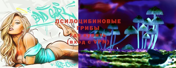 дживик Алексин