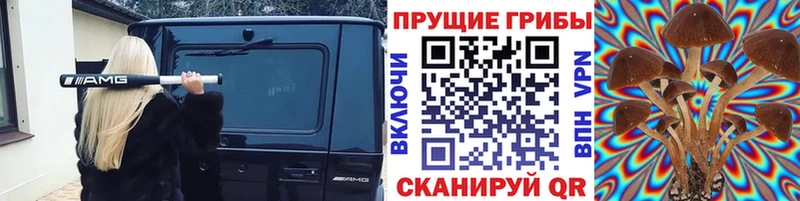 закладки  Ладушкин  Псилоцибиновые грибы GOLDEN TEACHER 
